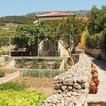 Apartments Nejasmic - Little House For Peaceful And Domestic Vacation Bol Eksteriør billede