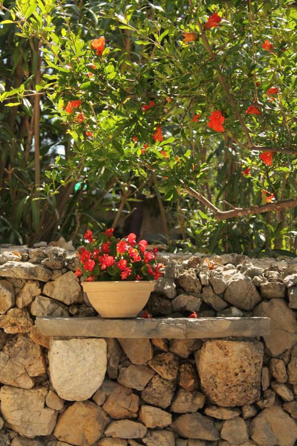 Apartments Nejasmic - Little House For Peaceful And Domestic Vacation Bol Eksteriør billede