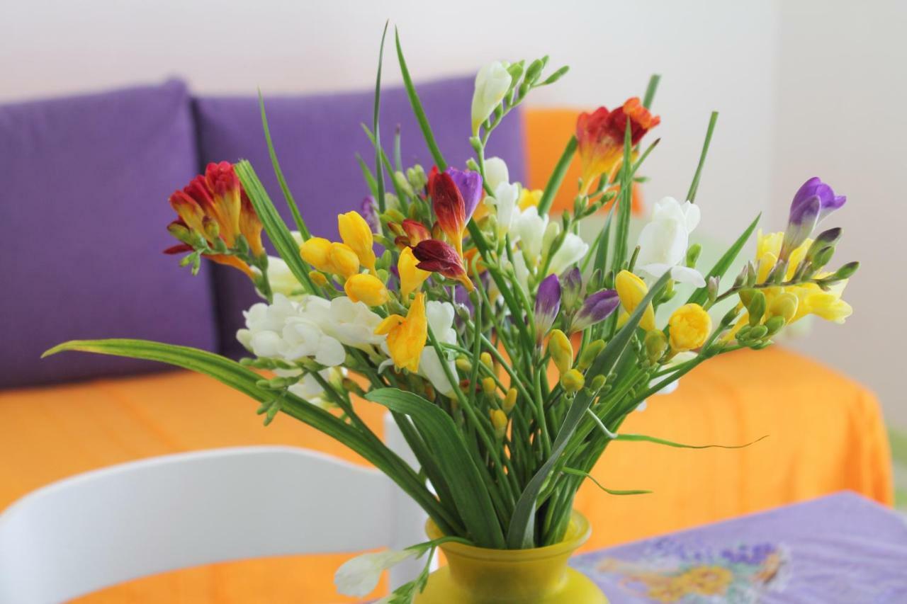 Apartments Nejasmic - Little House For Peaceful And Domestic Vacation Bol Eksteriør billede