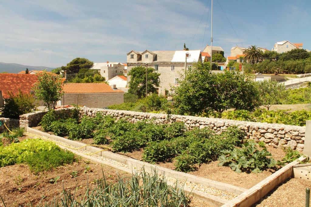 Apartments Nejasmic - Little House For Peaceful And Domestic Vacation Bol Eksteriør billede