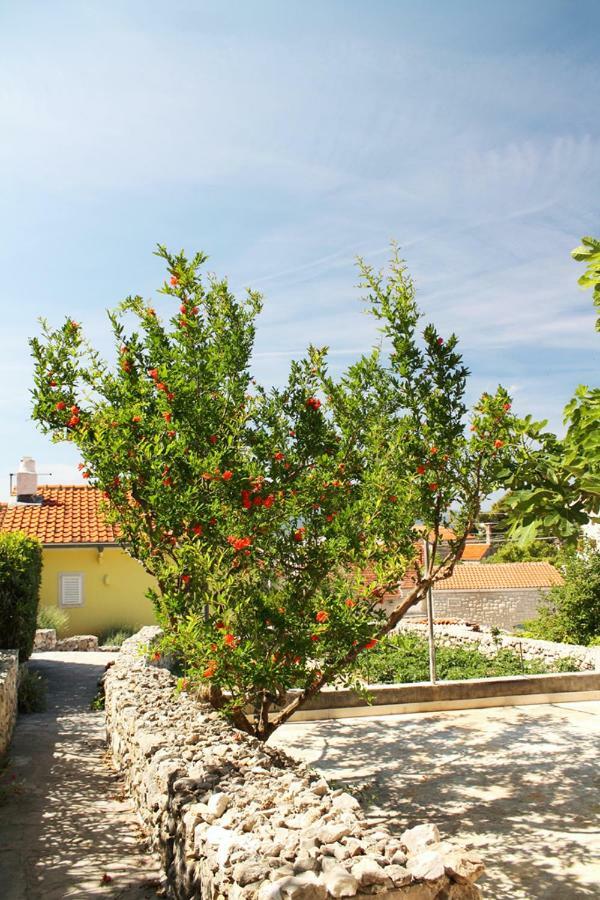 Apartments Nejasmic - Little House For Peaceful And Domestic Vacation Bol Eksteriør billede